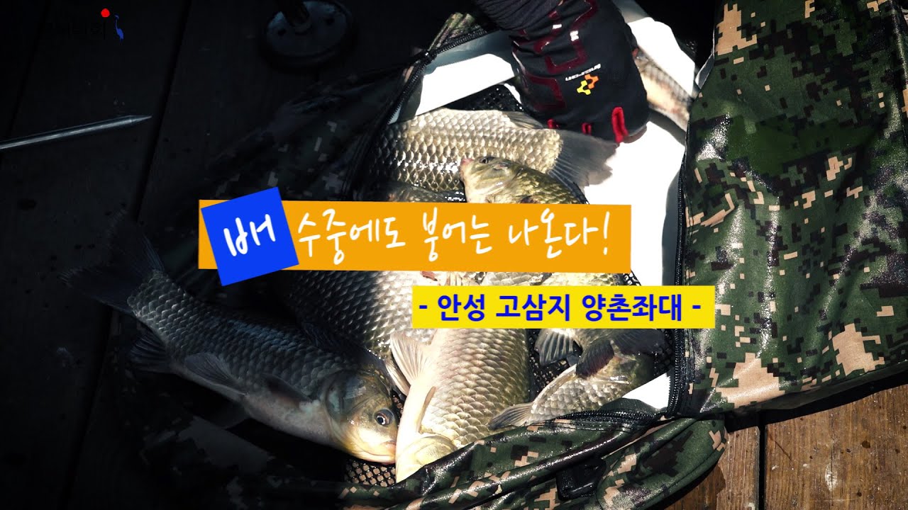 [자연지] 121.배수중에도 붕어는 나온다! - 안성 고삼지 양촌좌대(2020.8.25)
