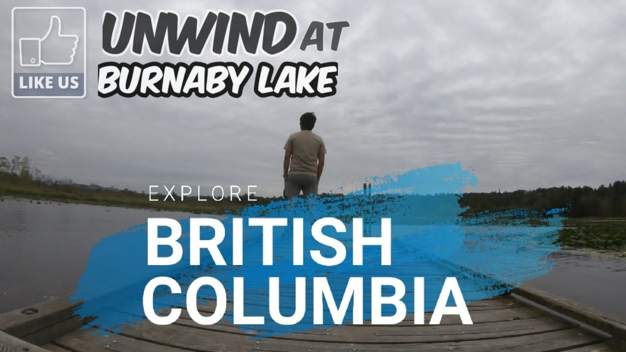 Exploring Burnaby Lake and Wildlife | intoy