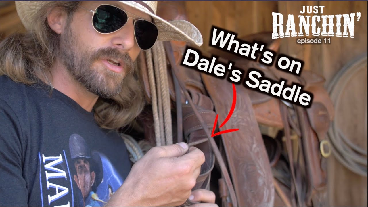 What's on Dales Saddle - Just Ranchin 11