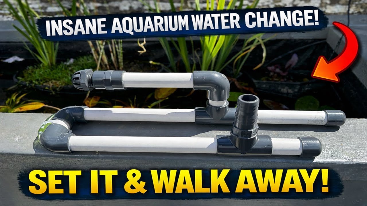 The Easiest Aquarium Water Change System (Set It & Walk Away)