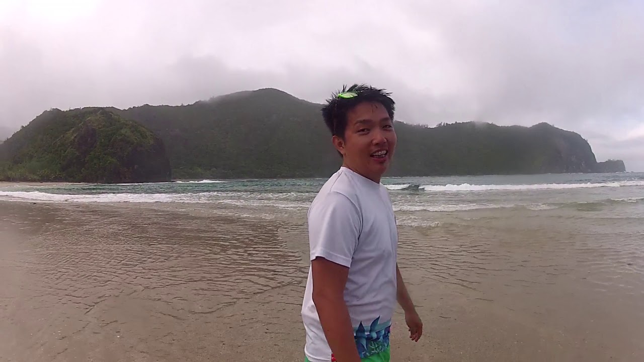 Baler 2019