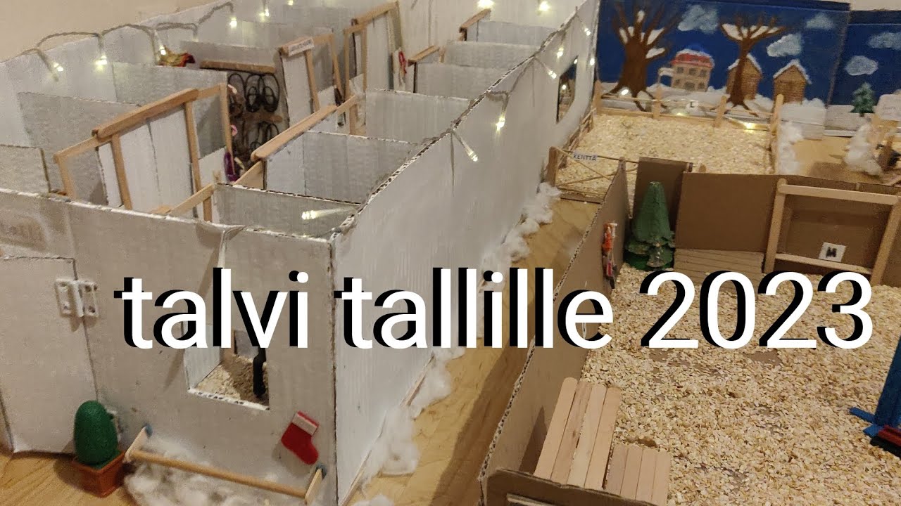 talvi tallille 2023 🌨️🤍❄️