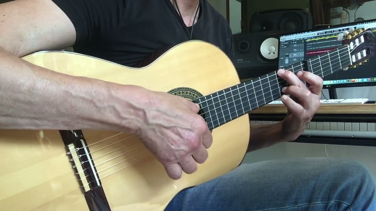 Barbara - Voila Guitar Cover [ Fingerstyle Instrumental Arrangement ]