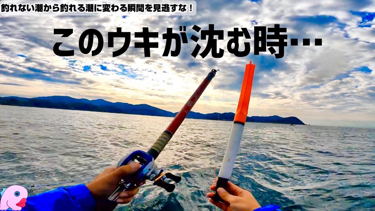 コレが釣れない潮から釣れる潮に変わる瞬間。ウキが沈んで爆釣が始まった。#2馬力ボート　#ウキ釣り　#完全フカセ