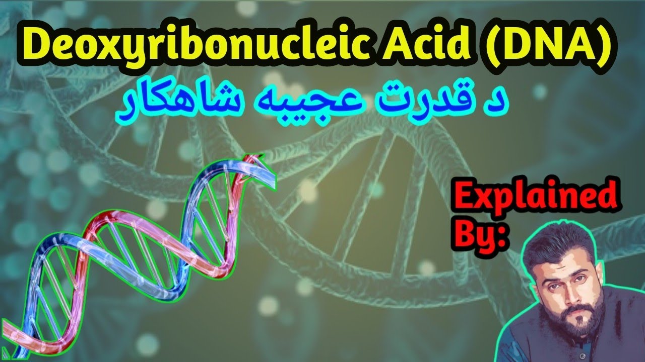 DNA explained by Tariq Pathan