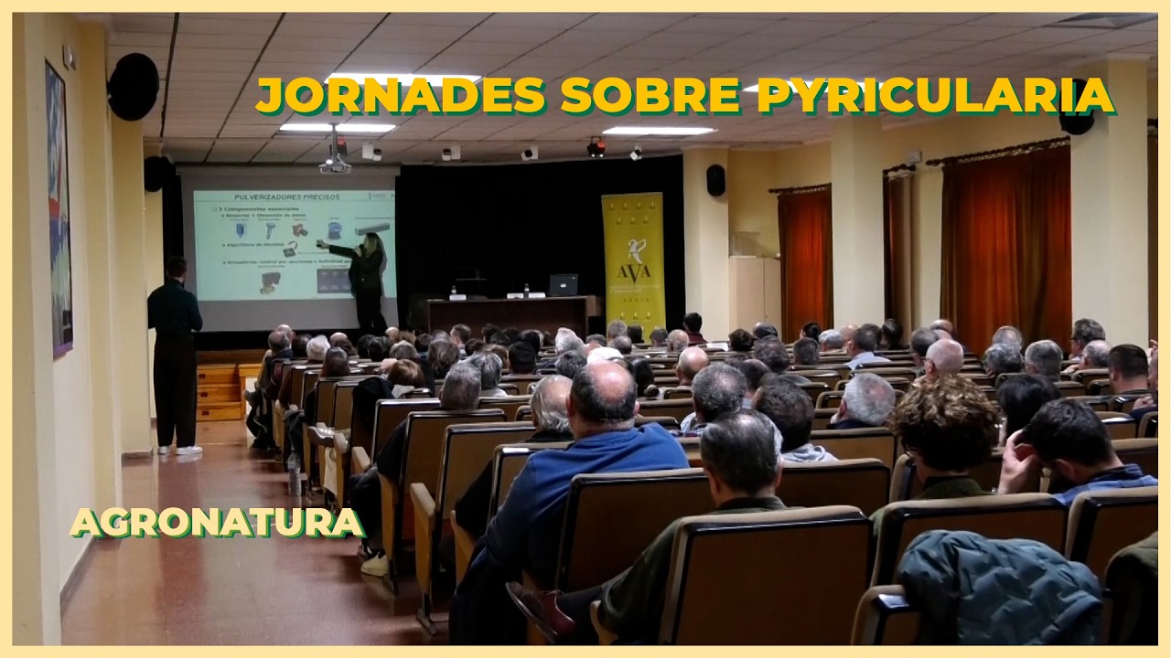🌾 Jornada sobre la Pyricularia de l’arròs