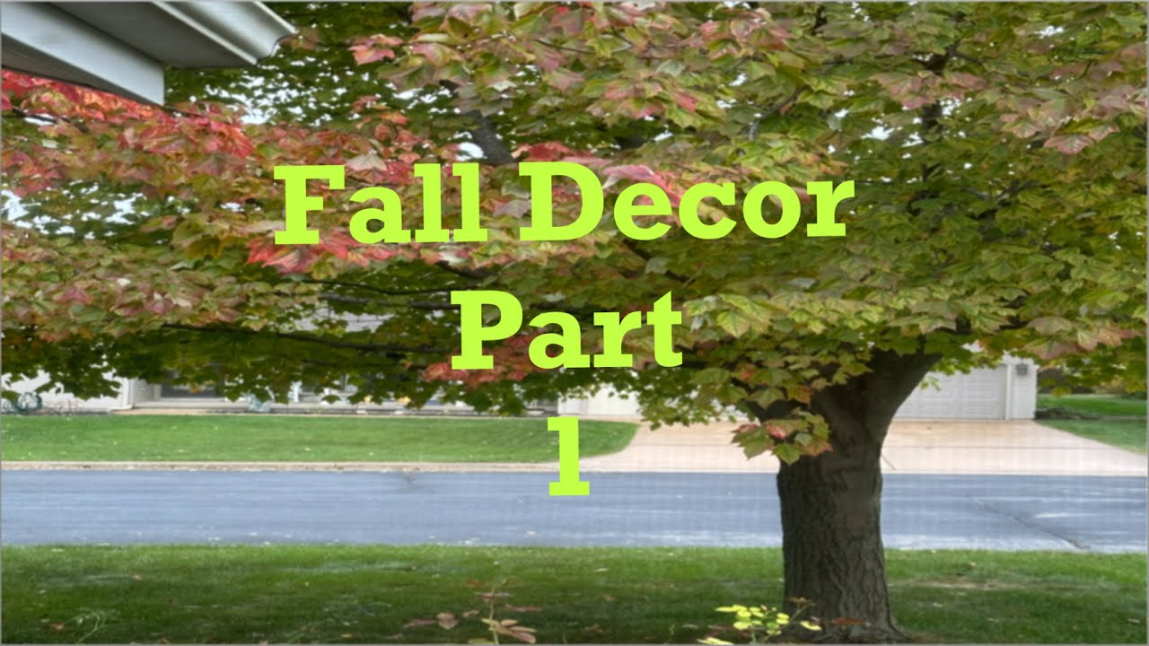 Fall Decor Haul Part 1