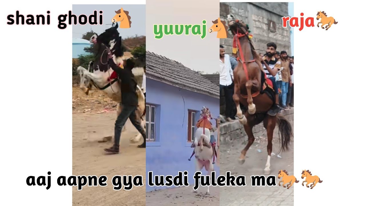 #આજે આપણે ગયા લુસડી ફુલેકા મા aaj aapne gya lusdi fuleka ma