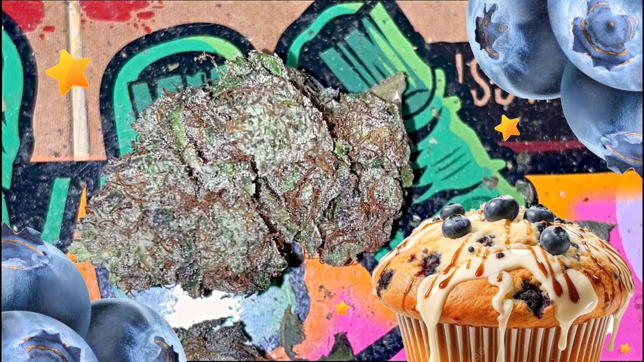 Blue Dream Strain Review