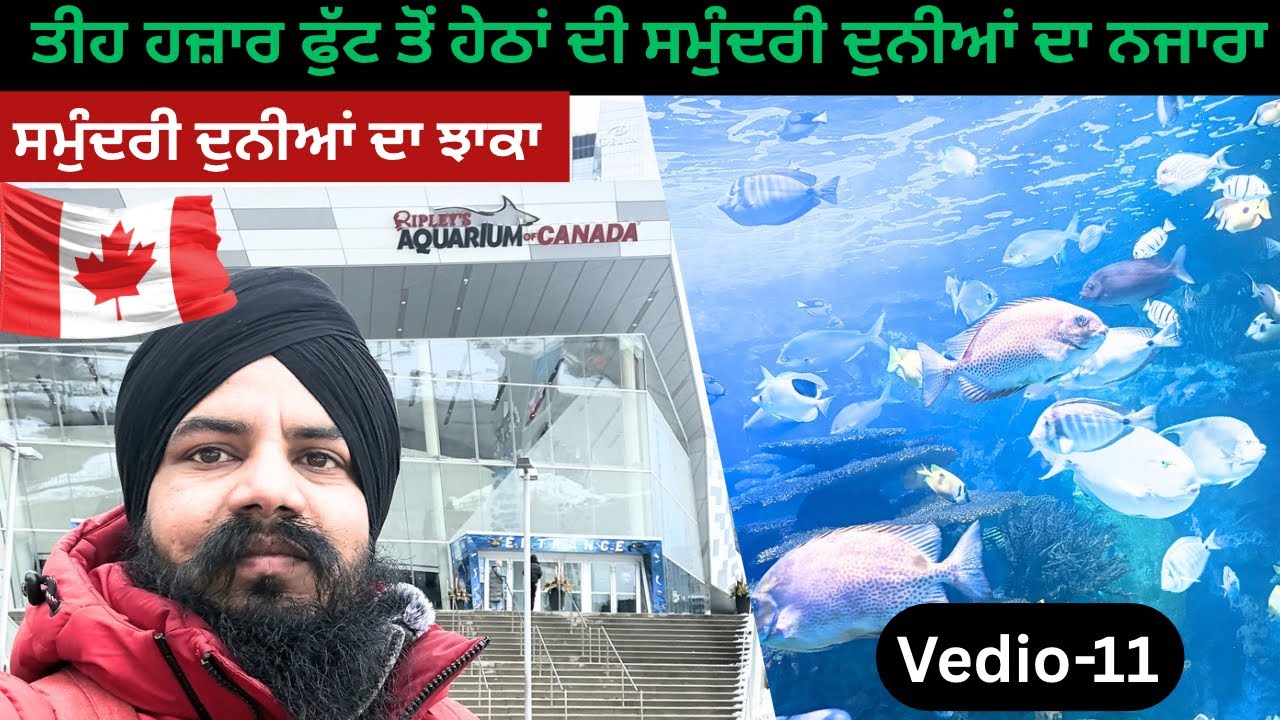 ਸੁਮੰਦਰ ਦੇ ਹੇਠਾਂ ਵੱਸਦੀ ਅਨੋਖੀ ਤੇ ਵੱਖਰੀ ਦੁਨੀਆ ਦੀ ਝਲਕ | Ripley’s Aquarium Canada 🇨🇦 Punabi Vlog 