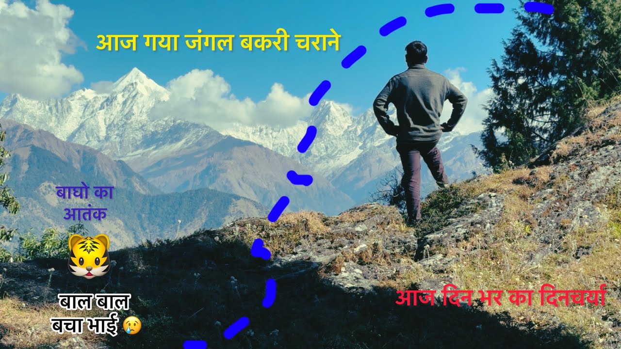 पहाड़ो में दिनभर का दिनचर्या || जंगल में बाघो का आतंक 😟 बाल बाल बचा😢 @mannudavlogs..9752  #lifestyle