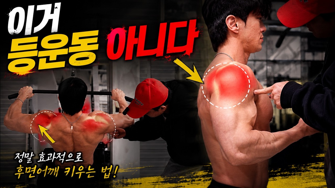 등운동을 개똥같이 하면 어깨후면에 뽕이 생깁니다｜랫풀다운(어깨후면)
