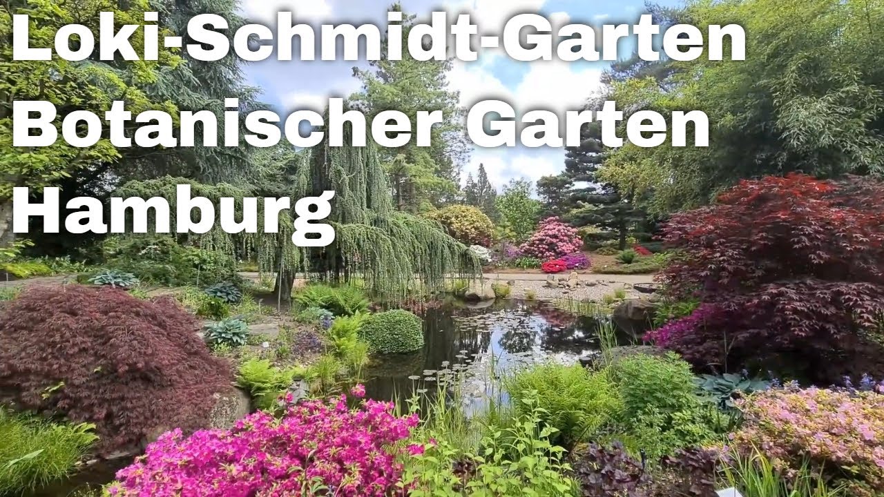 Loki-Schmidt-Garten | Botanischer Garten | Hamburg Germany