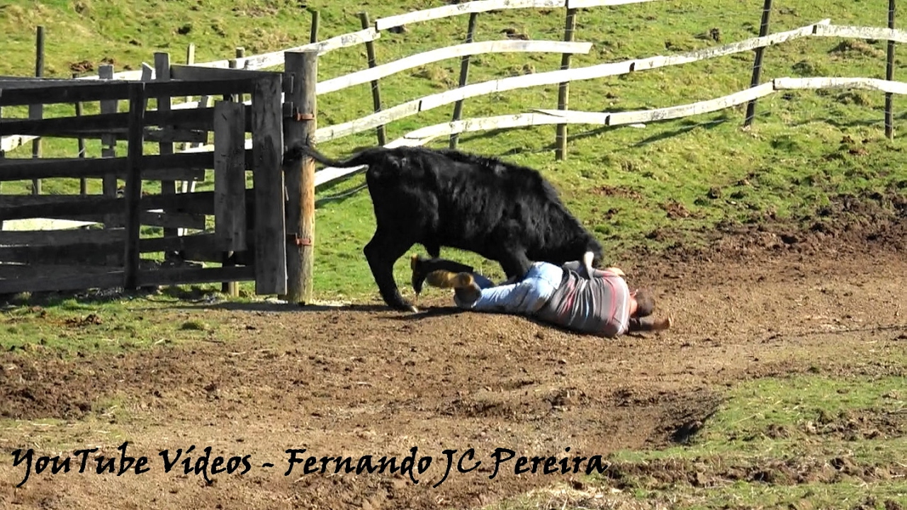 Trabalho Perigoso - Pastor Fica Ferido (Helder Ganadaria JAF)