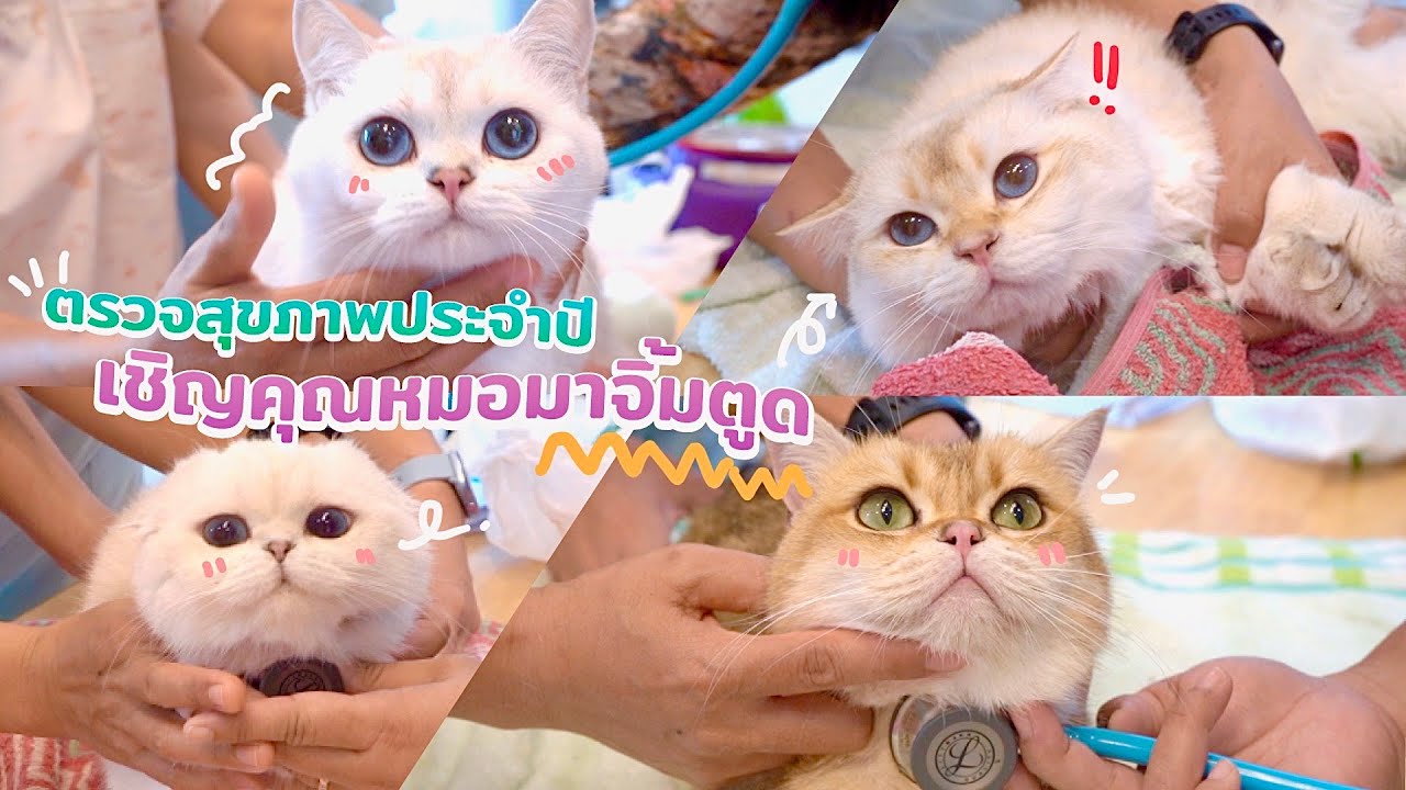 ตรวจสุขภาพประจำปี เชิญคุณหมอมาถึงที่