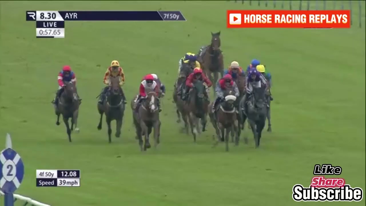 MONHAMMER / 5 Race Ayr 14 May 2024