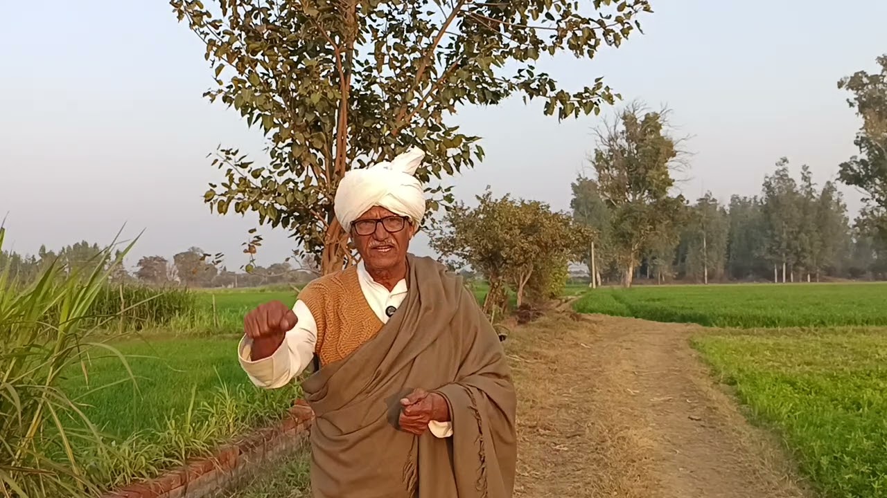 अपने बच्चों को धन नहीं अच्छे संस्कार देने चाहिएं नहीं तो इनकी जवानी कोर्ट के चक्र काटने में बीत जाए