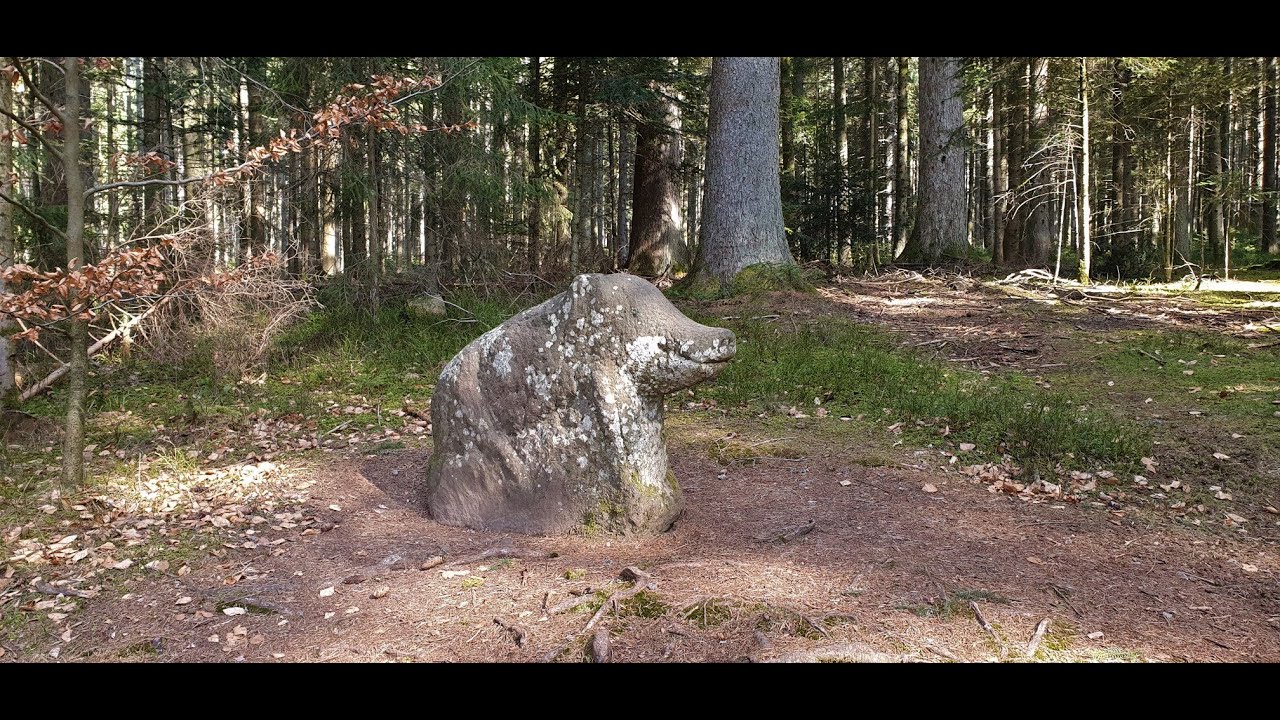 Waldpfad Groppertal ein Genie&szlig;erpfad im Schwarzwald (Premiumweg)