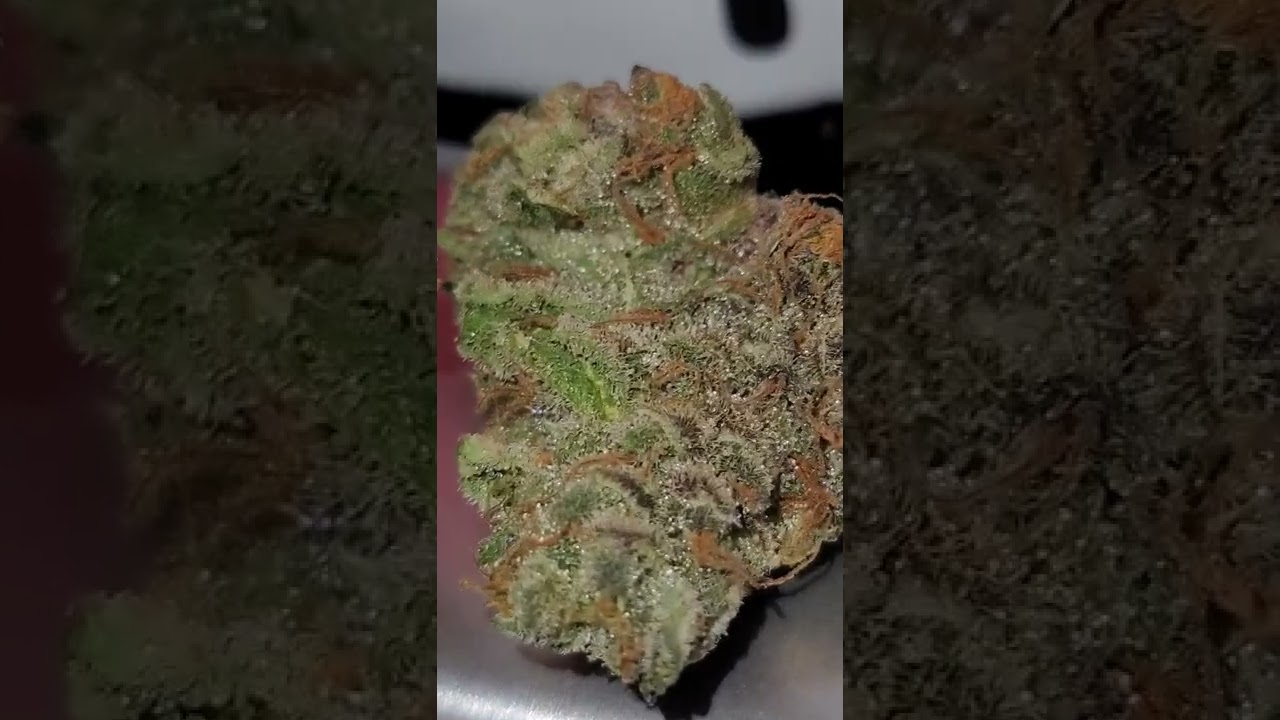 😎😎😎HEAVY EYE COOKIES INDOOR STRAIN 😮&zwj;💨😮&zwj;💨😮&zwj;💨