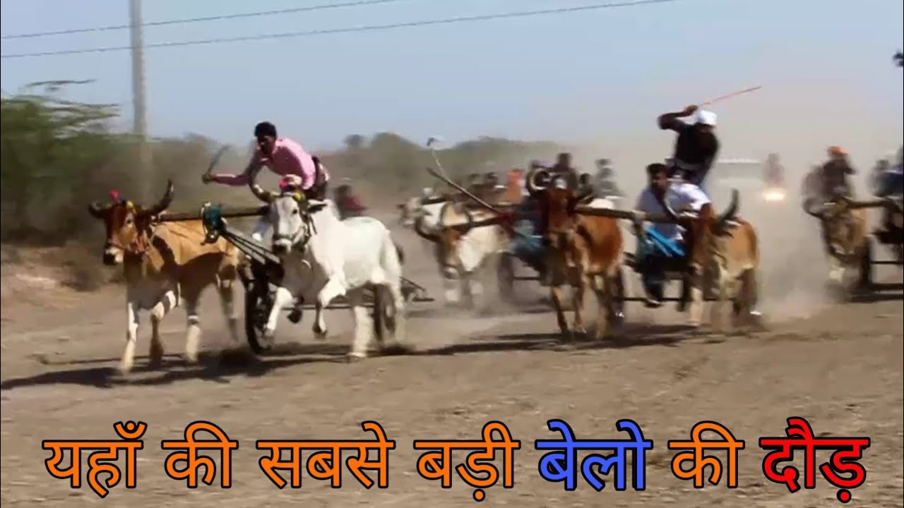 બળદ ગાડા દોડ_Bull race in masitiya jamnagar 2019