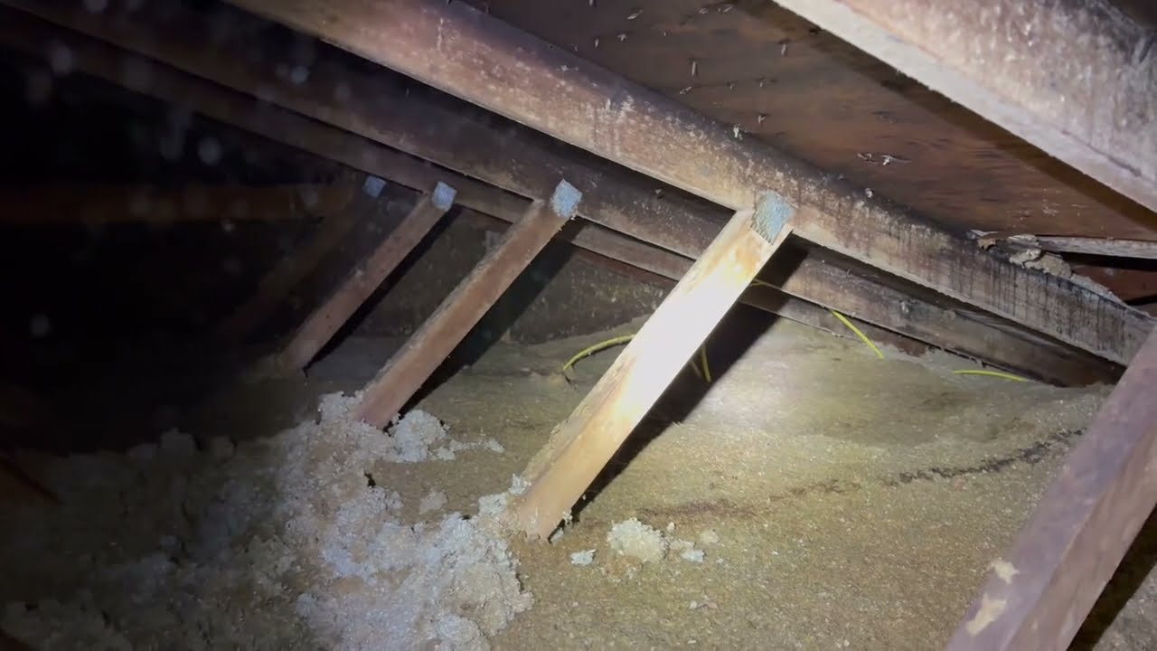 Attic inspection for roof replacement and excessive moisture