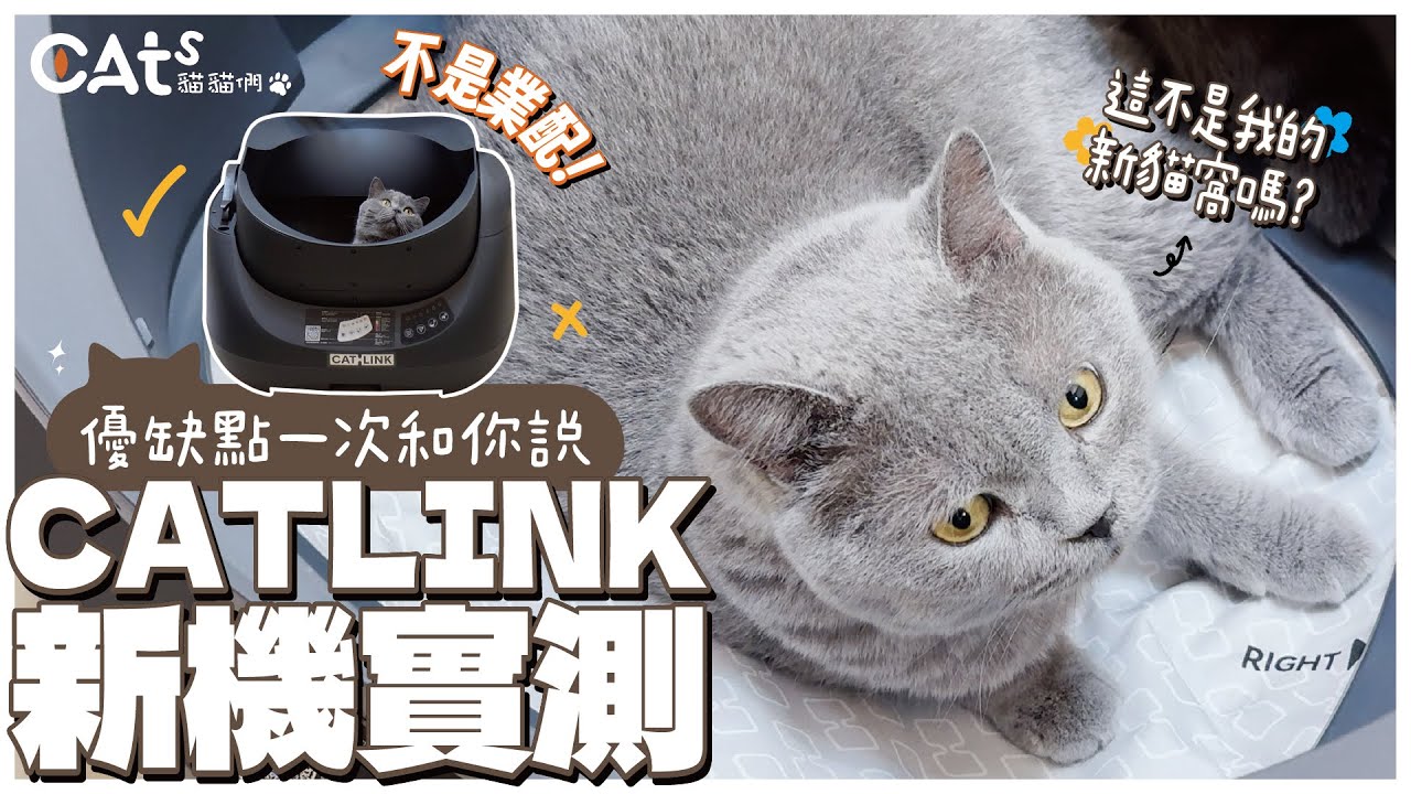 Catlink自動貓砂機新機開箱/優缺點一次和你說/不是業配/胖寶/翻滾喵