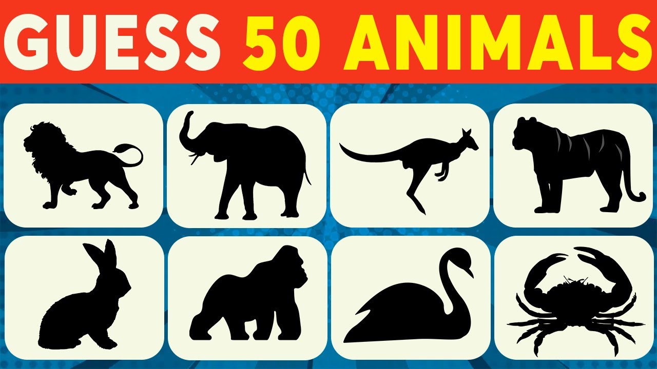 🐱 Guess the Animal by Shape Quiz | Animal Quiz Trivia🐬
