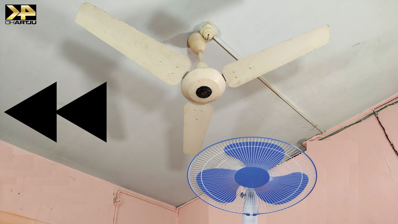 NEWGEN PEDESTAL FAN vs OLDGEN CEILING FAN | 🔙 BACKWARD CLIP ⬆️⬇️