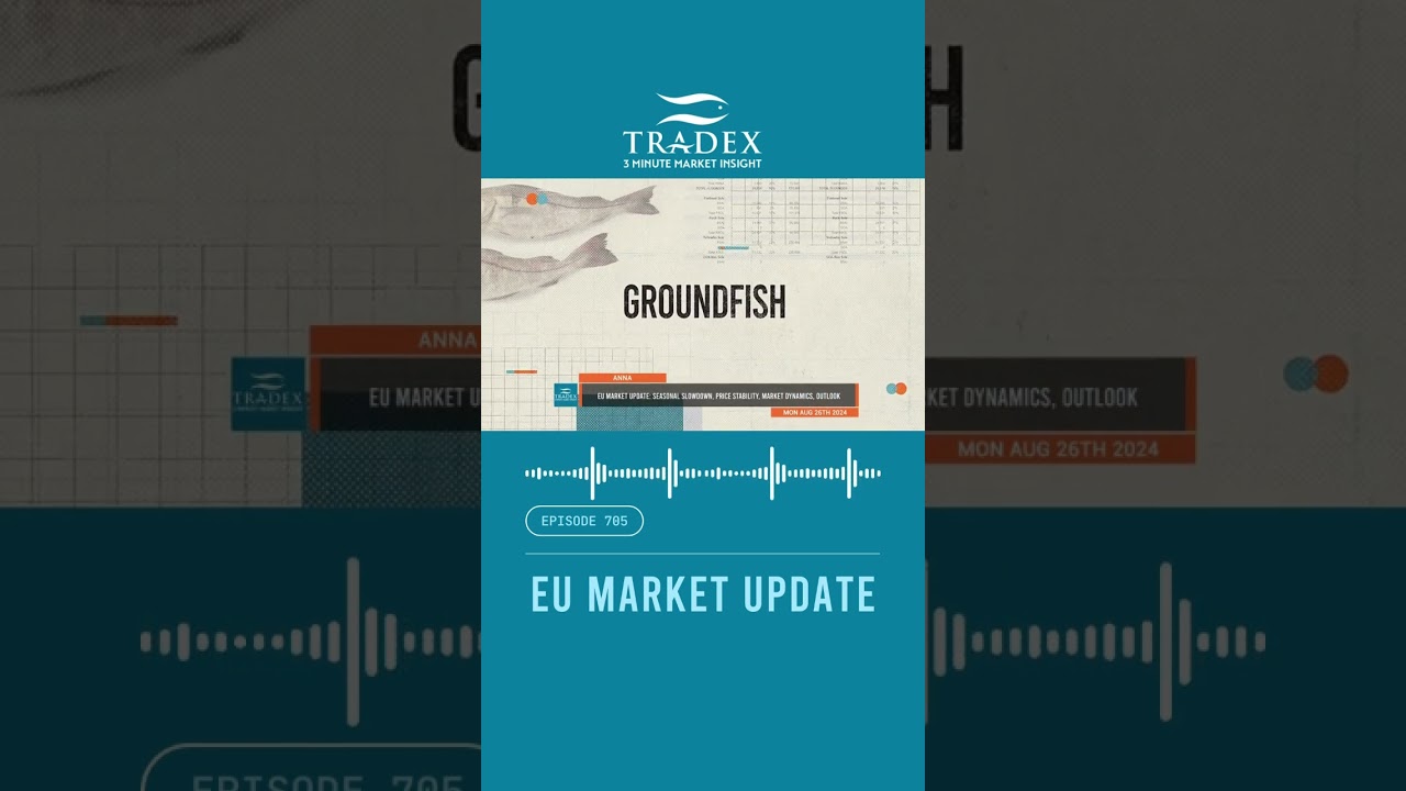 3MMI - EU MARKET UPDATE #seafoodindustry #commercialfishing #salmon #fishing