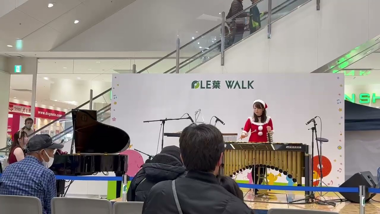 【Vibraphoneで演奏してみた！】All I Want for Christmas Is You-マライア・キャリー　covered by 河辺智美（Vib）稲垣満有子（piano）