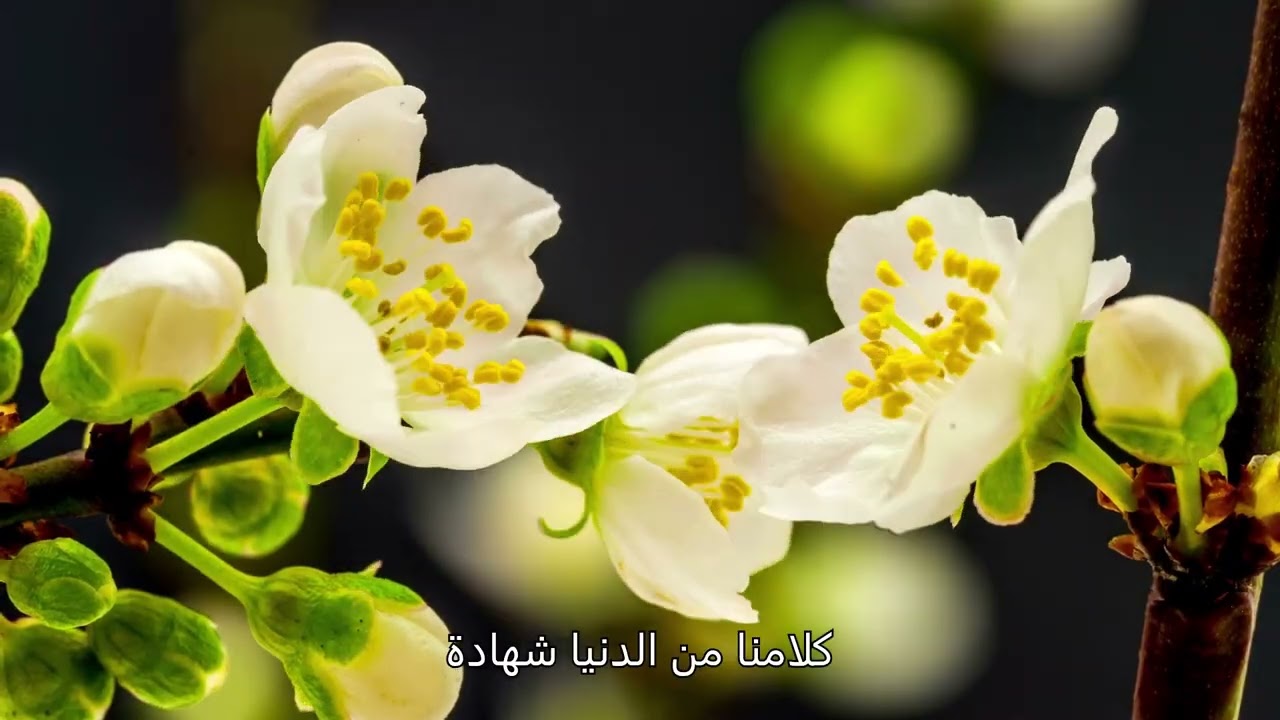 أدعية قصيرة ومتنوعة
