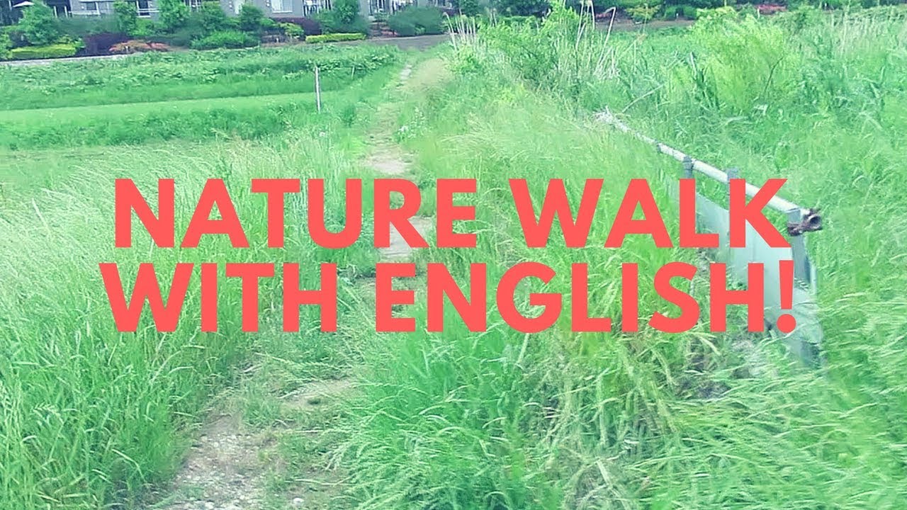 Nature Walk with English! 🌲 | World English School Today