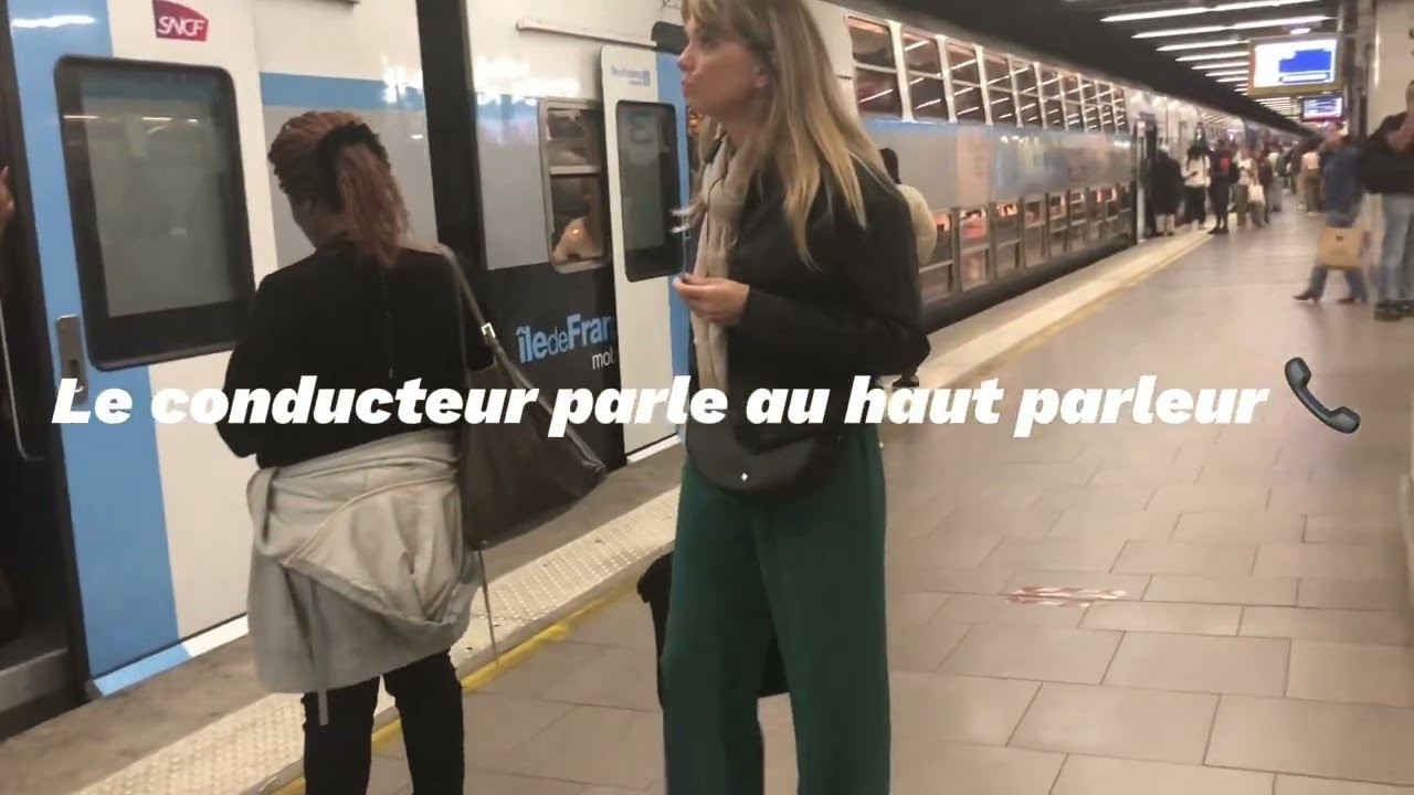 (RER D & Transilien R) : Malaise voyageur, panne sur les installations, 4 trains retardés (incident)