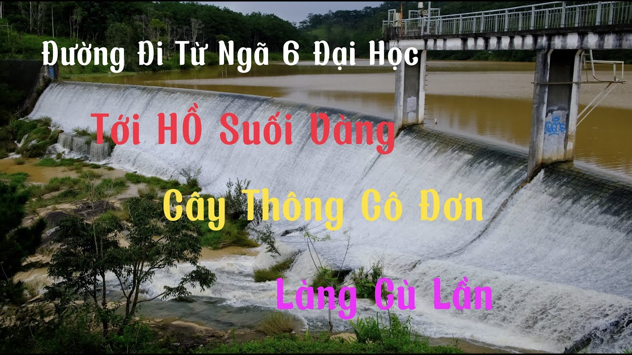 Đường đi hồ suối vàng, cây thông cô đơn, làng cù lần ở đà lạt