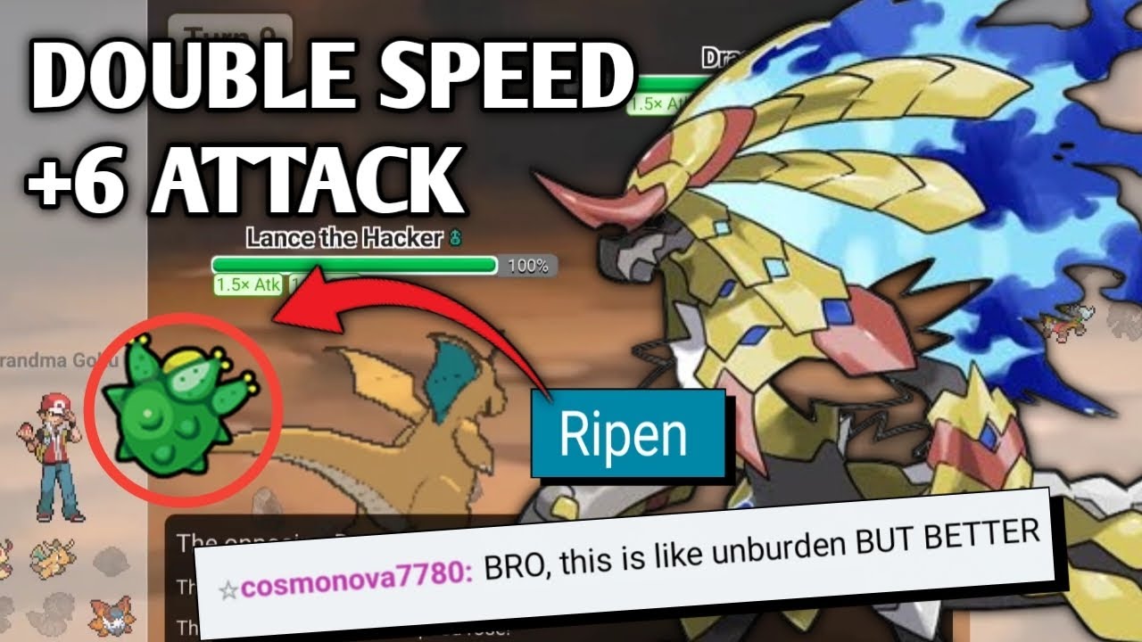 RIPEN + SALAC BERRY + BELLY DRUM KOMMO-O IS THE ULTIMATE COMBINATION (ALMOST ANY ABILITY)