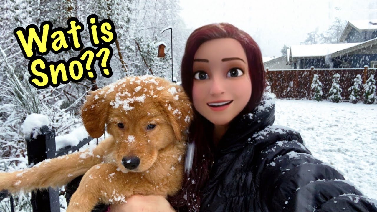 Christmas Puppy's FIRST SNOW!