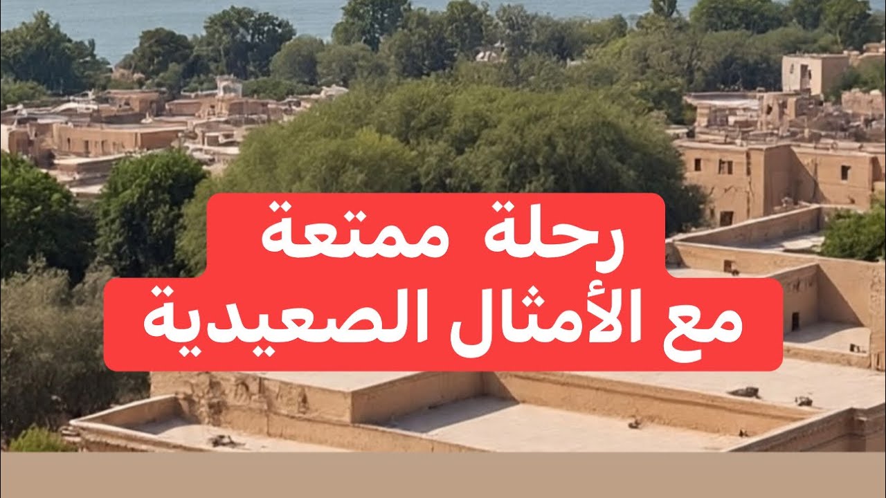 هل كنت تعرف معنى هذه الأمثال الصعيدية المدهشة؟ وهل هي عامية أم فصيحة