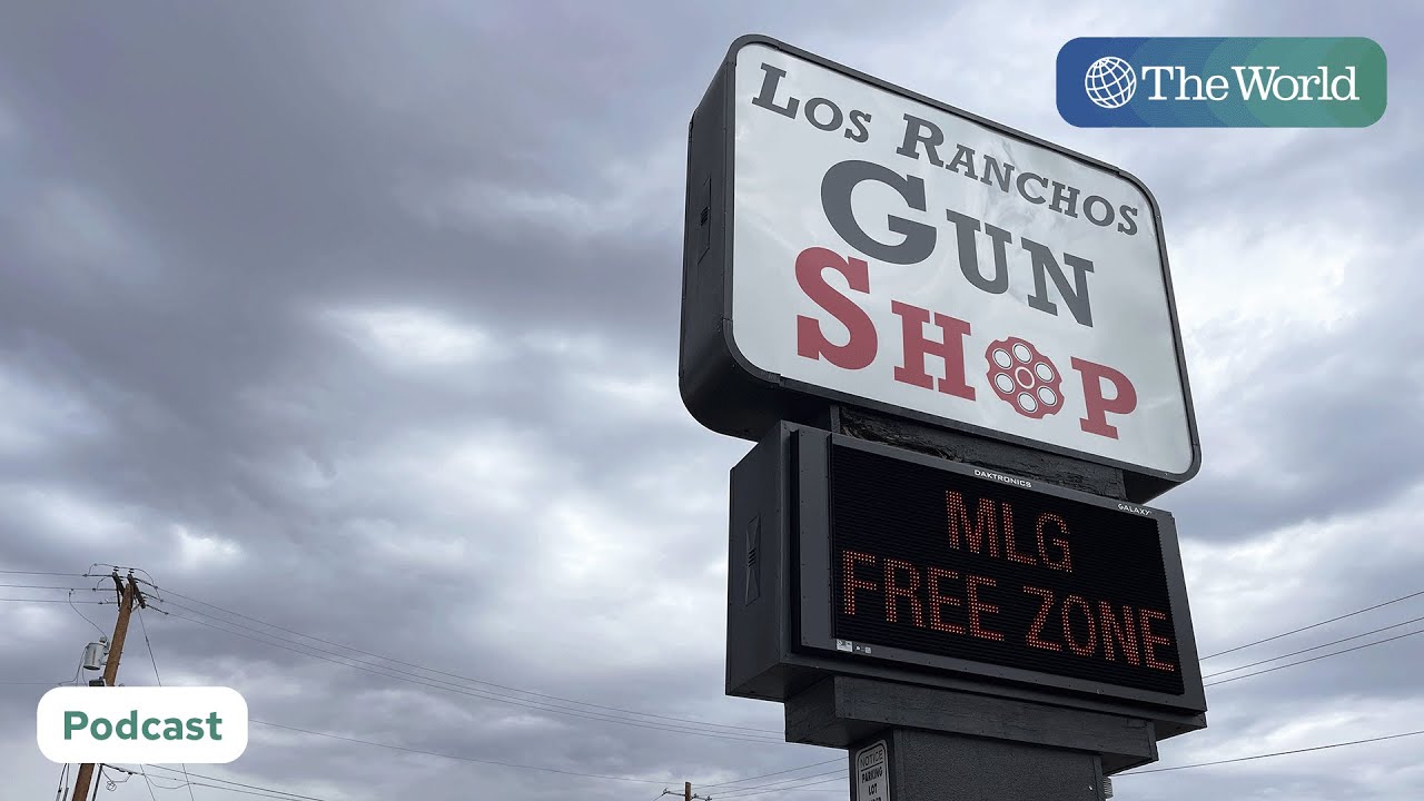 New initiative aims to halt US weapon sales to Mexican cartels | The World Podcast