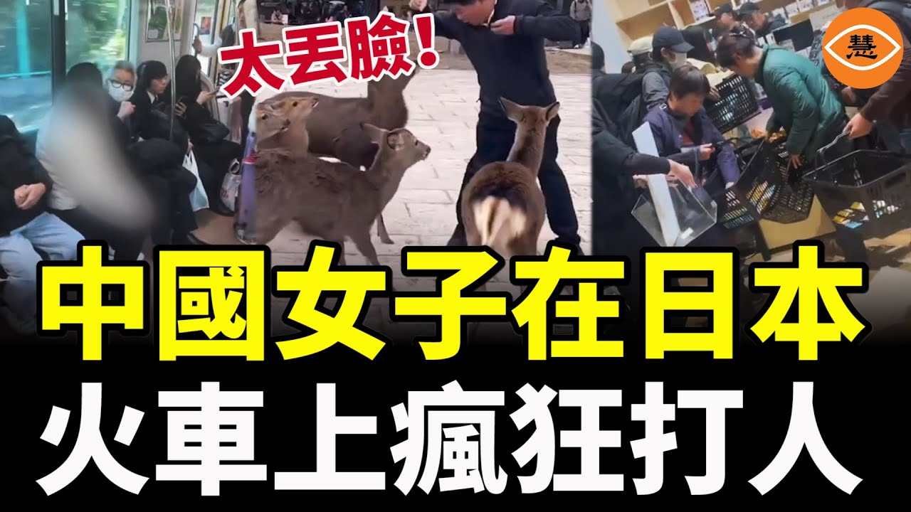 中國人激怒日本人：偷菜、插隊、在火車上襲擊他人