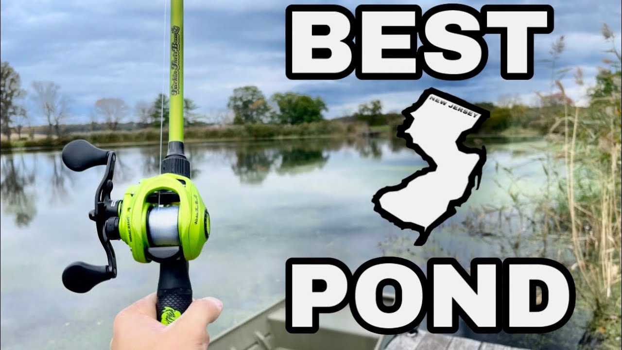 I Found The Best Bass Fishing Pond In New Jersey (hidden gem)