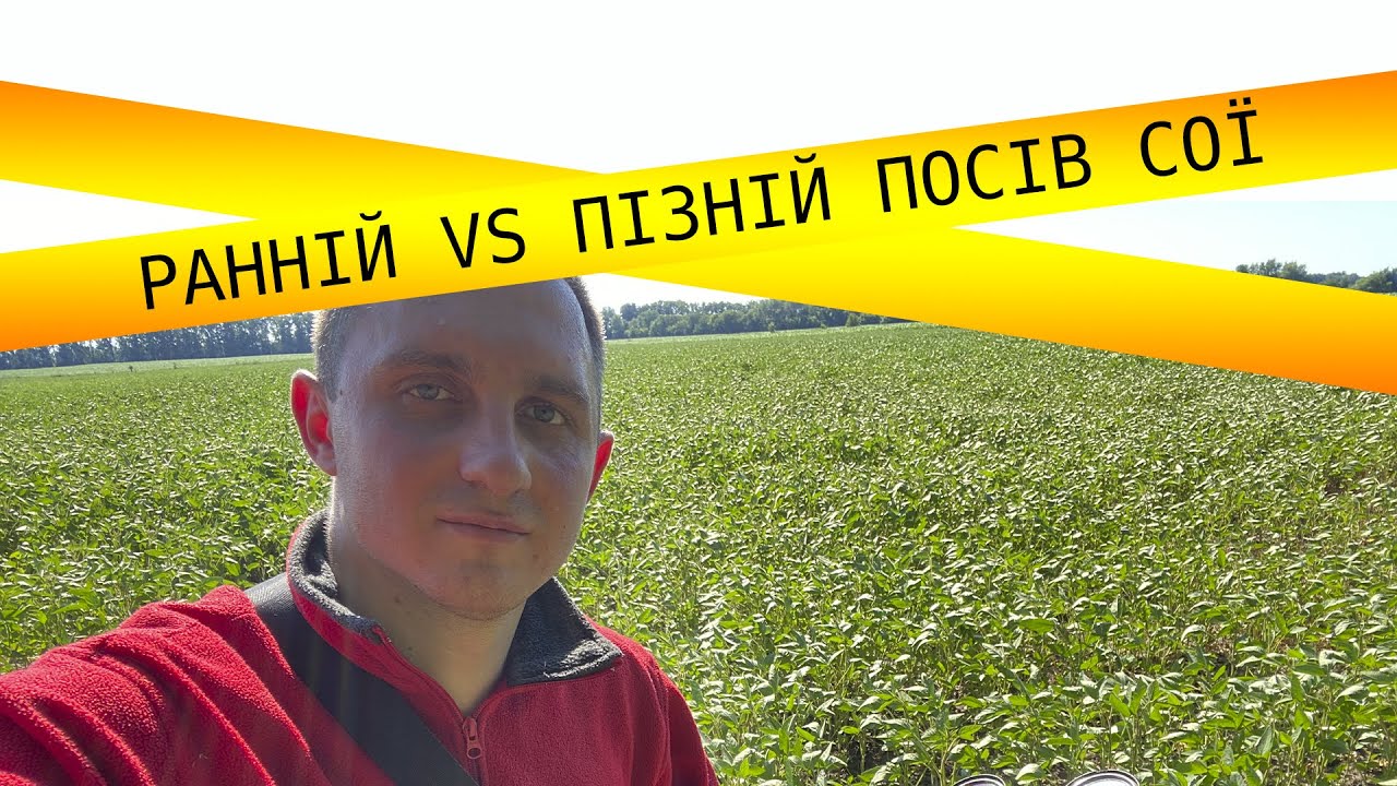 Різниця раннього і пізнього посіву сої