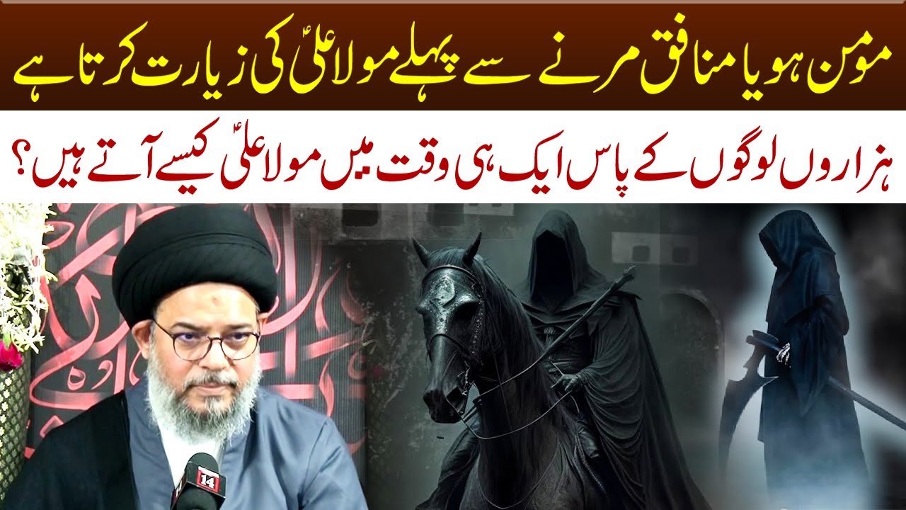 Kya Marne Se Pahle Maula Ali (a.s) Ki Ziyarat Hoti Hai..? | Ayatollah Syed Aqeel ul Gharavi