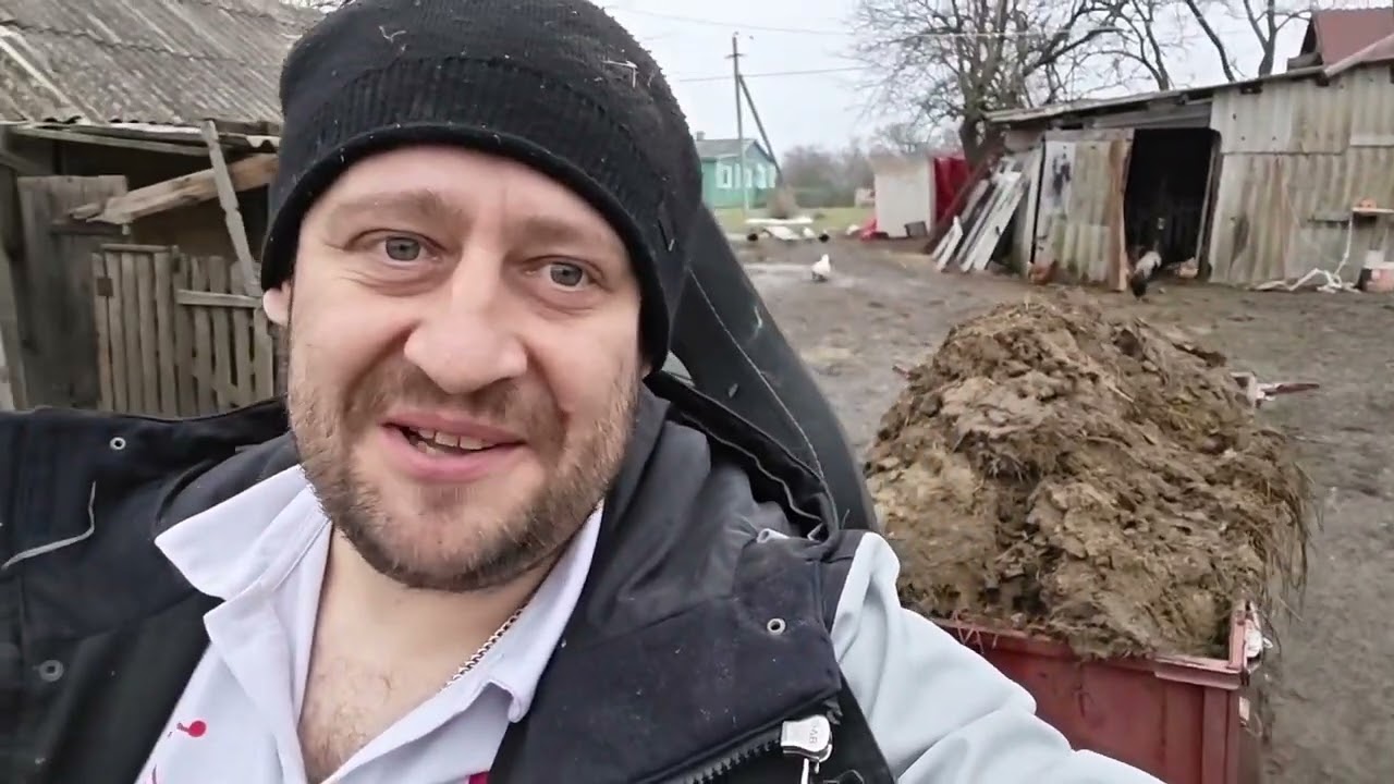 Работа по хозяйству: ремонт клеток, уборка у поросят.
