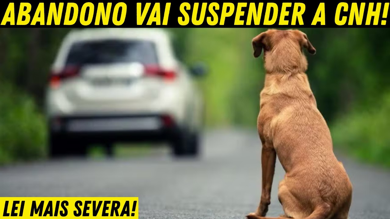 ATENÇÃO: INFRAÇÕES DO CTB VAI FICAR MAIS GRAVE!