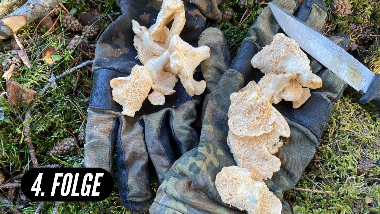 Essbare Pflanzen und Pilze | 7 Tage Survival Challenge Norwegen