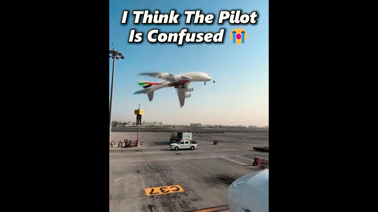 I Think The Pilot Is Confused 💀😭