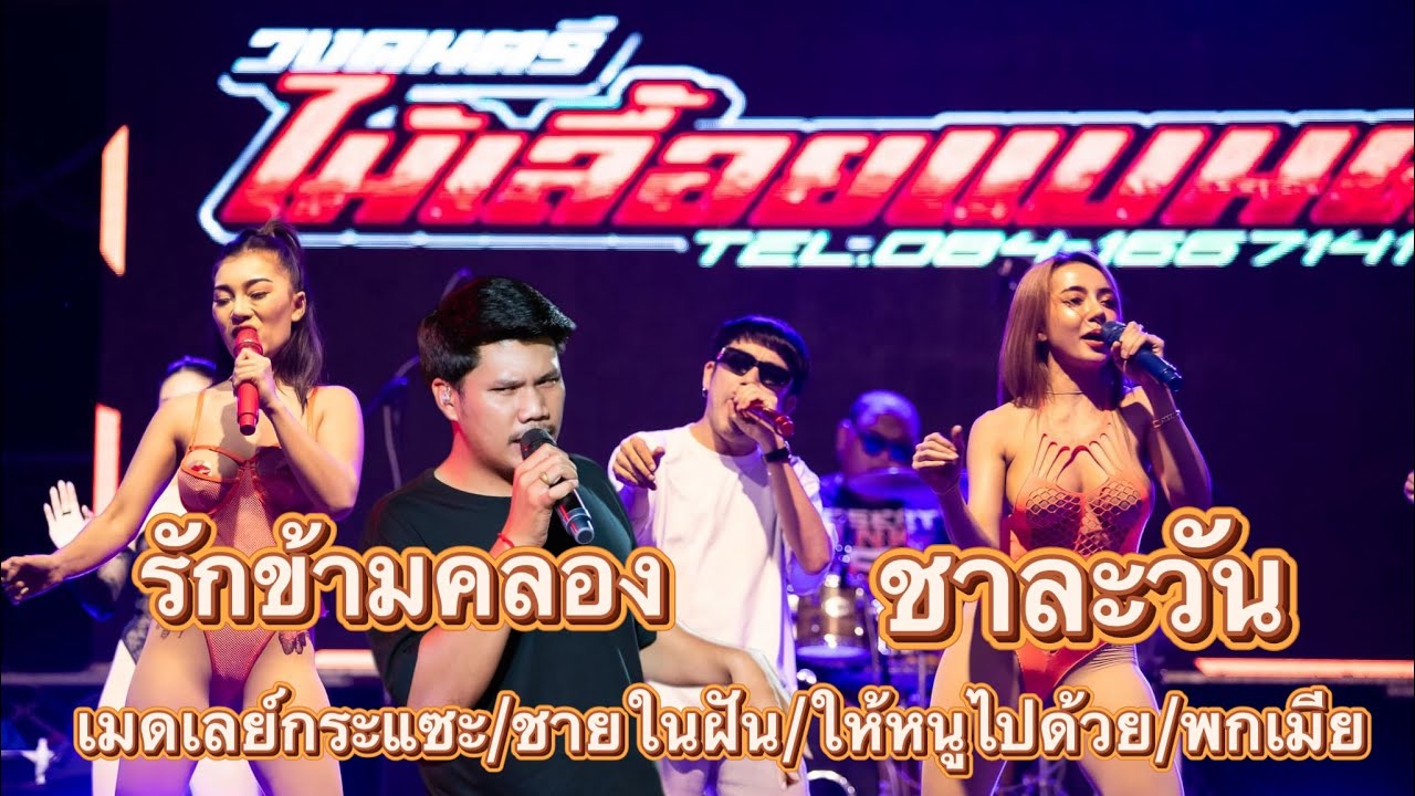 ชาละวัน รักข้ามคลอง เมดเลย์กระแซะ | แสดงสดวงไม้เลื้อยแบนด์ ที่สิงห์บุรี