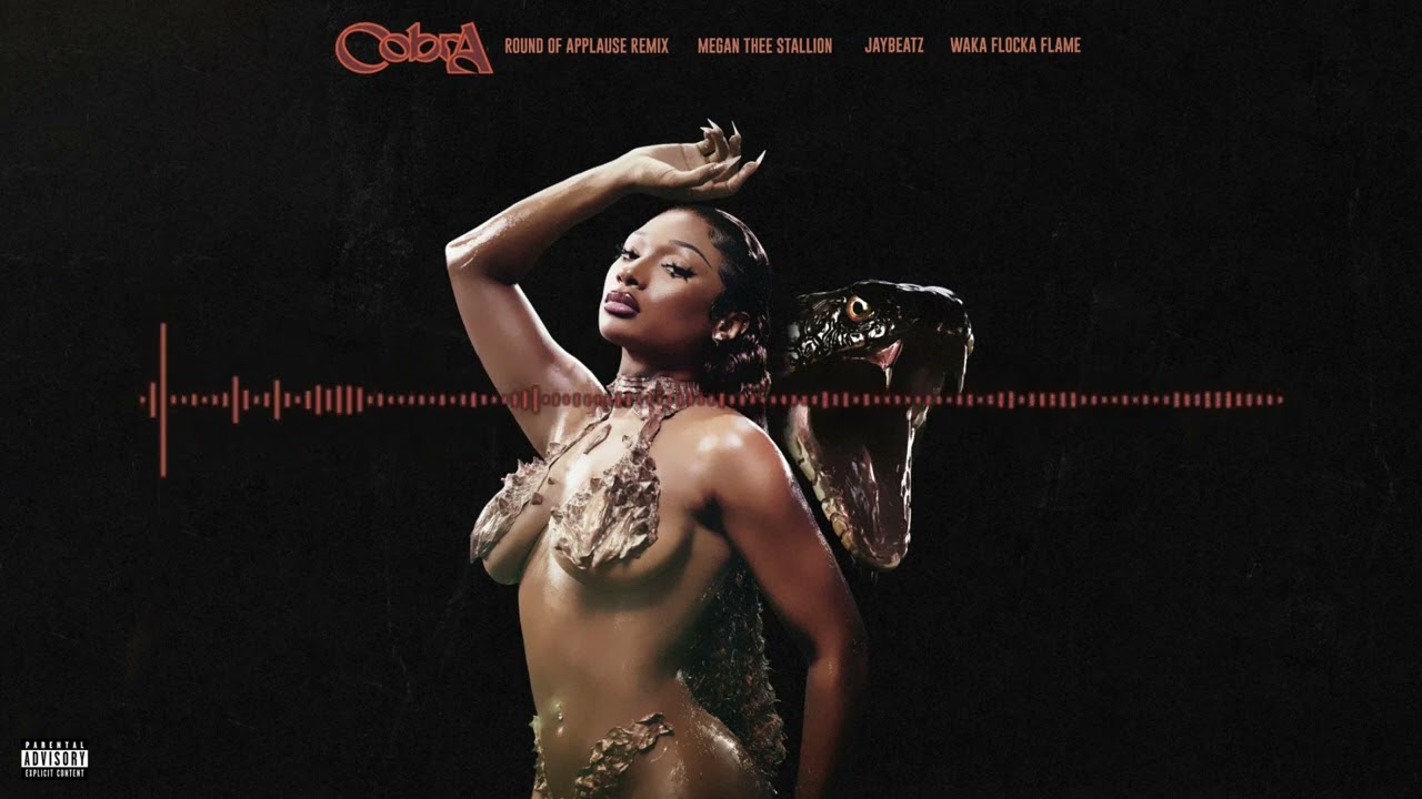 Megan Thee Stallion & Waka Flocka Flame - Cobra Clap (A JAYBeatz Mashup) #HVLM