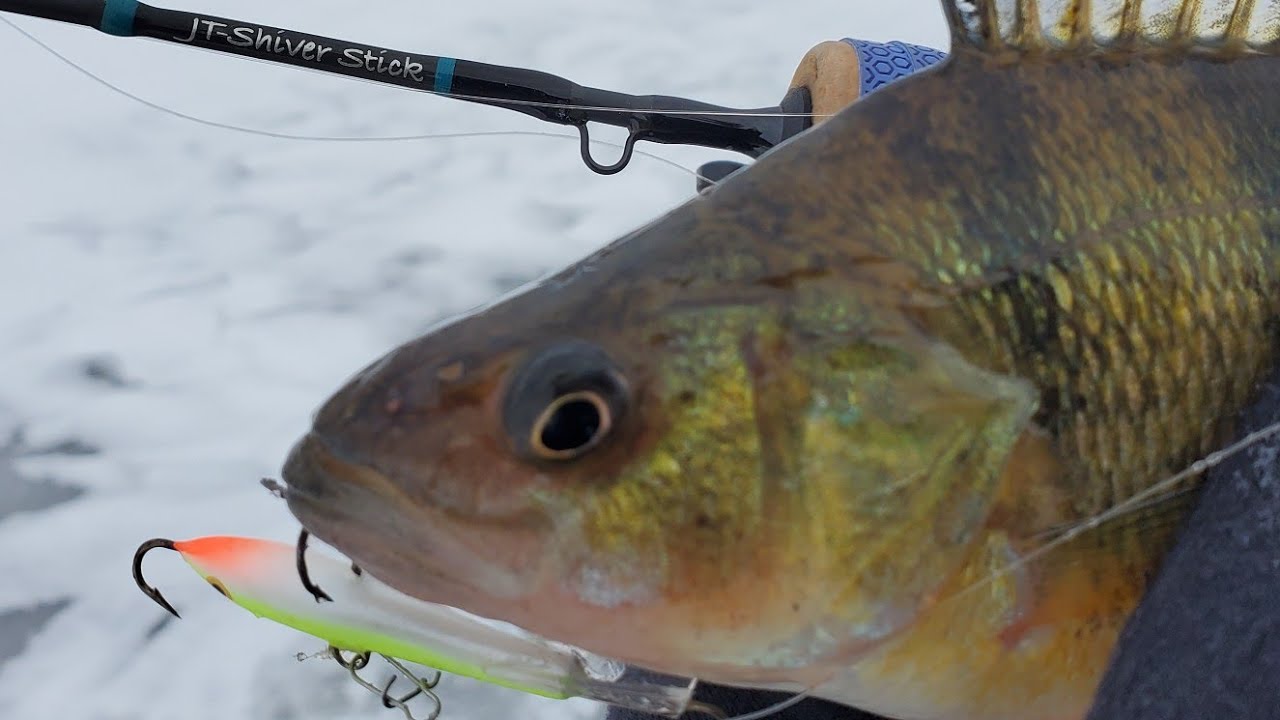 DAILY LIVE FISHING SHOW | EP 33 | ICE FISHING ONEIDA LAKE