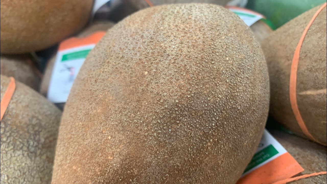 How to eat and cut open Mamey Sapote Fruit